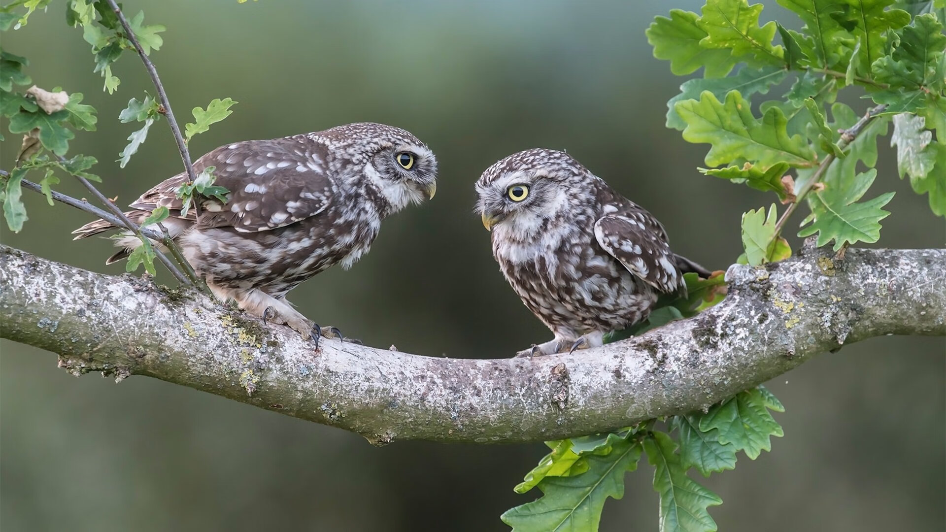 《CS_GO线上邀请赛,暗战暗潮涌动》,csgo暗潮涌动怎么过