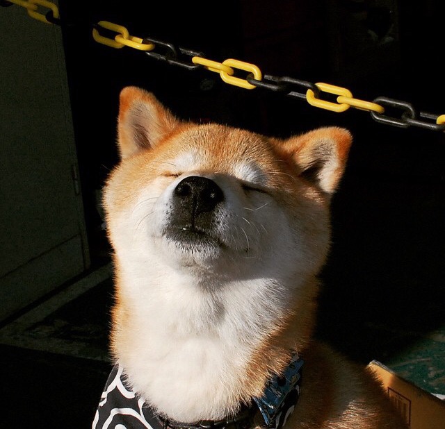 家庭支援:父母在青少年网球成长中的角色