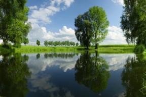 开云体育官方网站-“英超战火不断,夺冠队伍展开新一轮角逐”,英超争冠