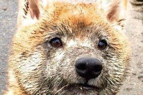 开云体育平台-“赛段背后：战术布局的智慧较量”，竞赛战术