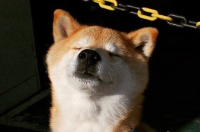 开云LOL-家庭支援：父母在青少年网球成长中的角色