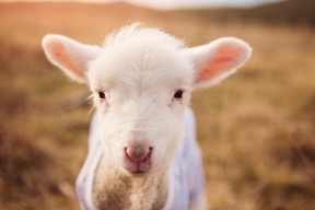 开云网页版-北方地区篮球运动热潮持续升温，赛场火爆，篮球为什么北方打不过南方